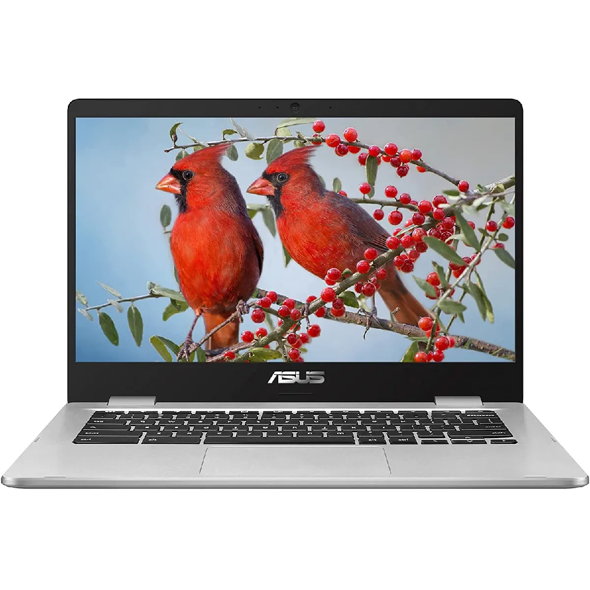 ASUS ChromeBook C424MA-BV0305 - Intel® Celeron® - 4 GB RAM -